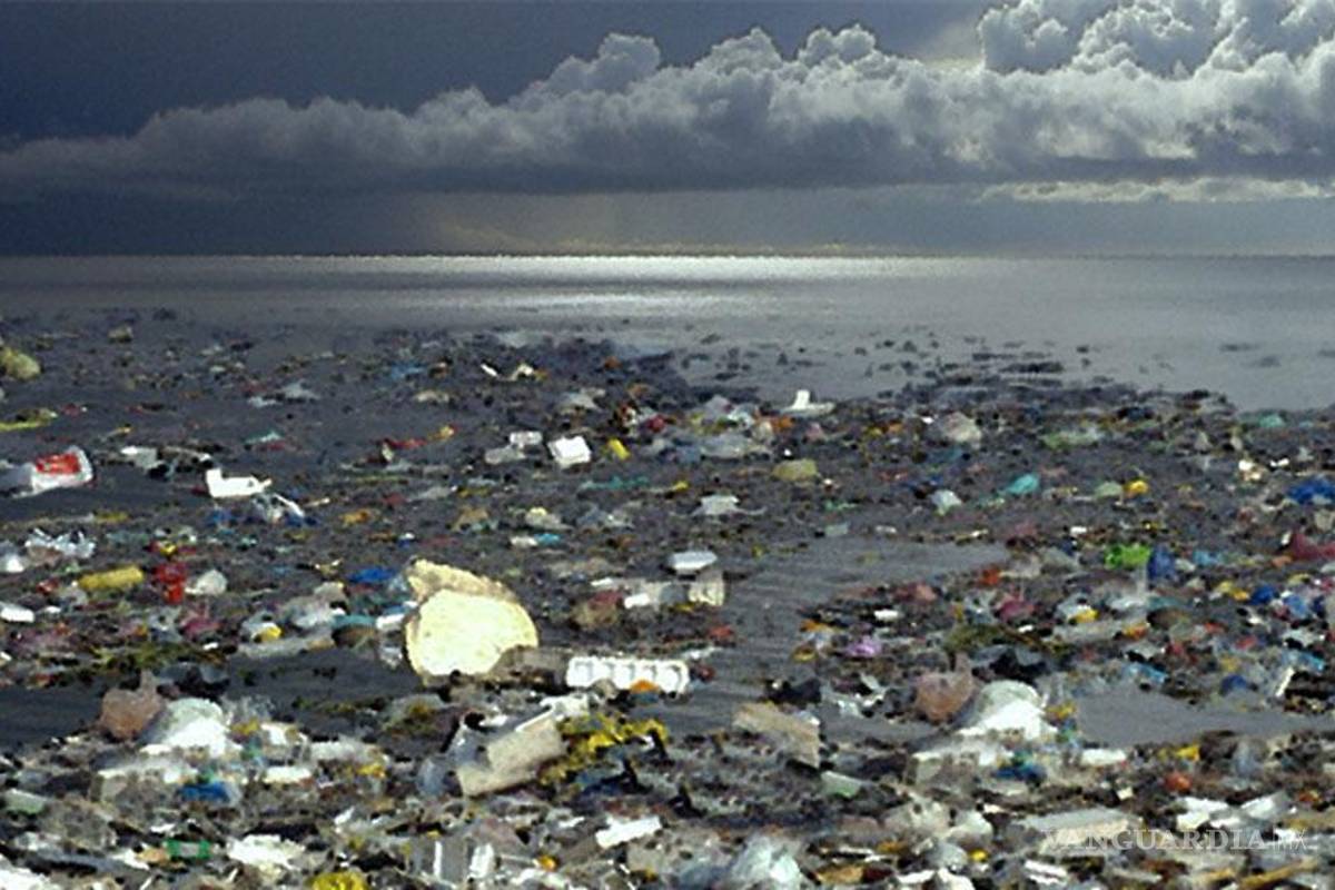35 mil toneladas de plástico flotan en los mares: Estudio