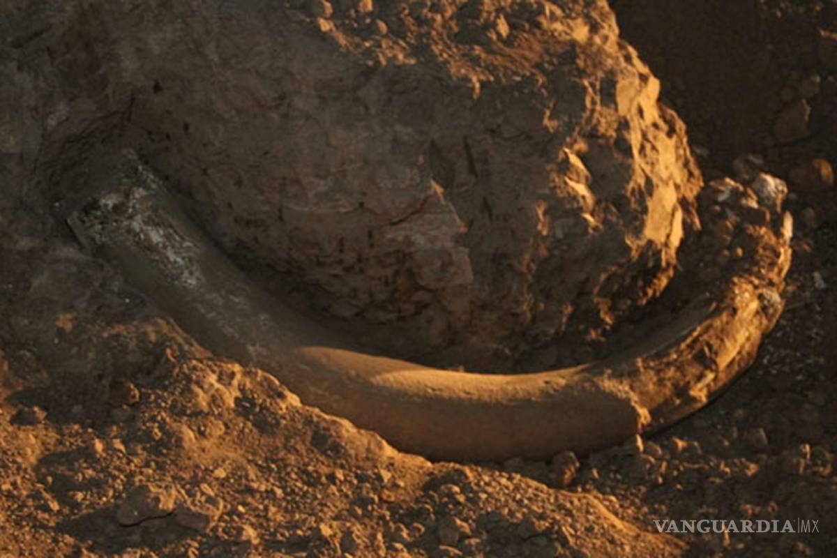 Descubren fósiles de dinosaurios y casas en túneles en Puebla