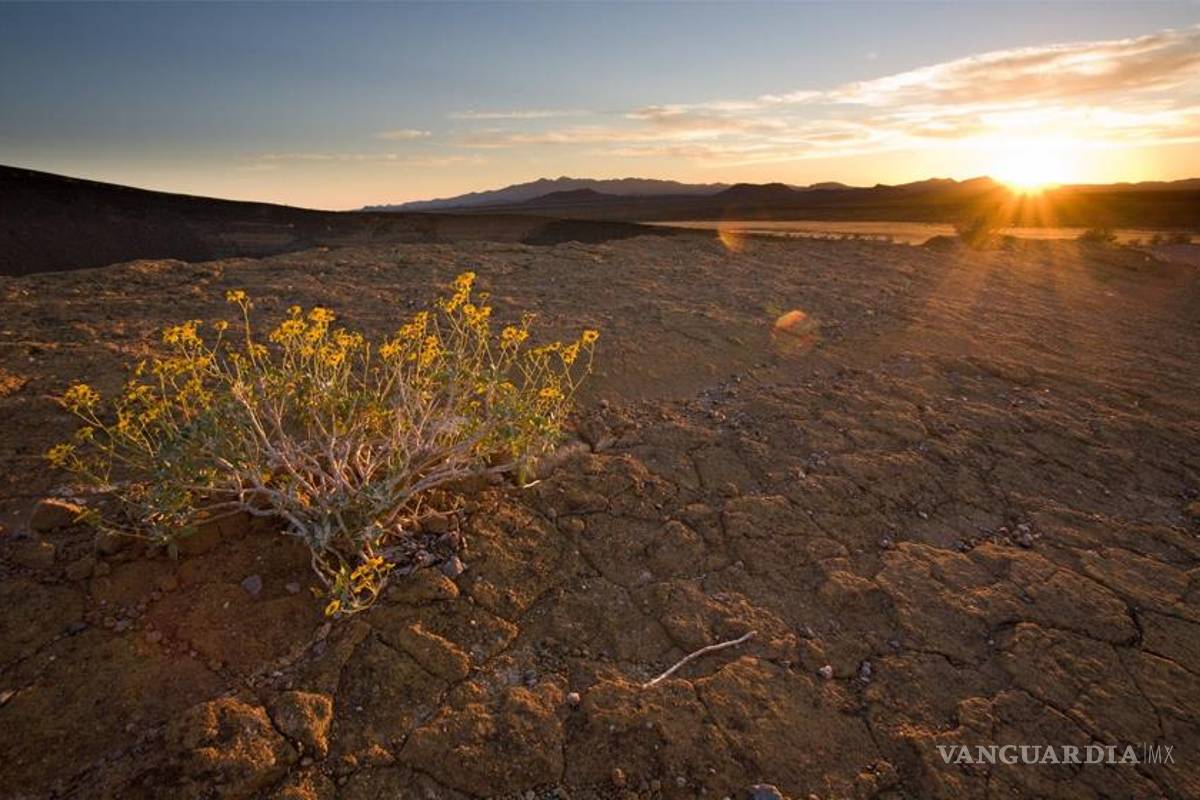 Paisajes de Sonora ya son Patrimonio de la Humanidad