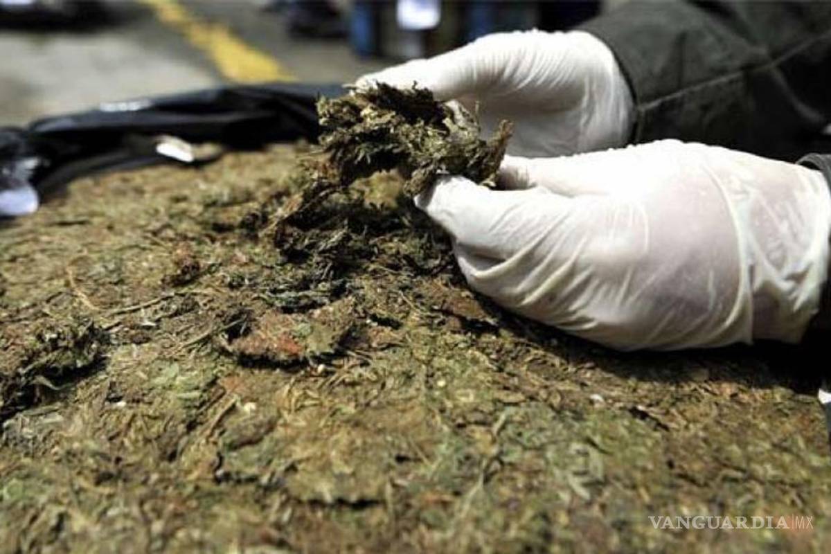 Fallo sobre mariguana es “embrión de la destrucción”: Iglesia