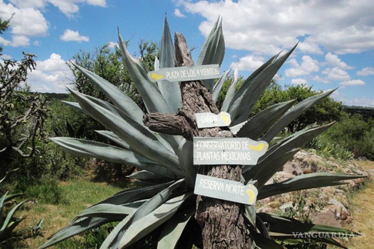 Amaga la mancha urbana a la reserva 'El Charco' del Ingenio