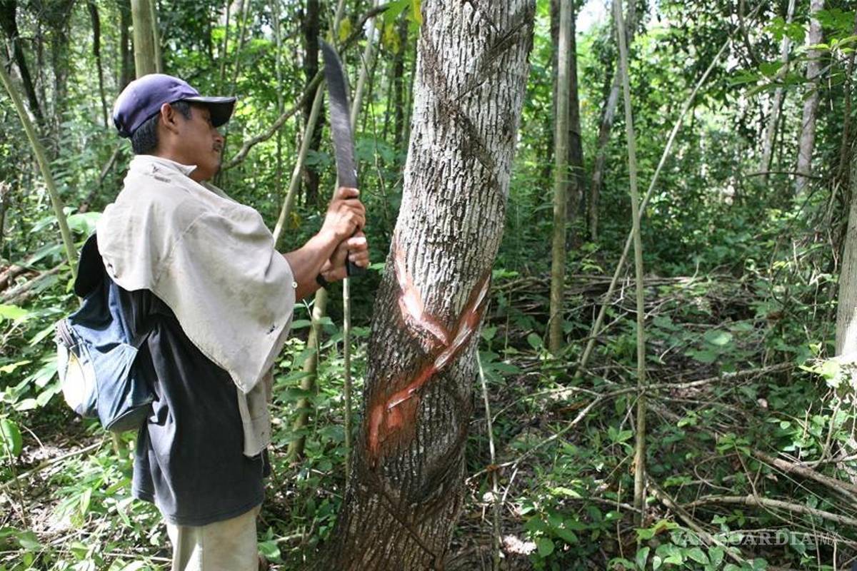 México ya no pega su chicle