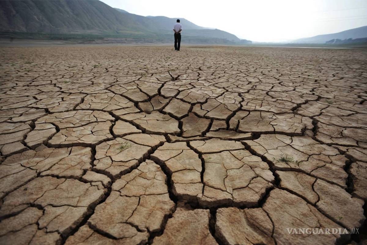 64% de los suelos en México sobreexplotados: FAO