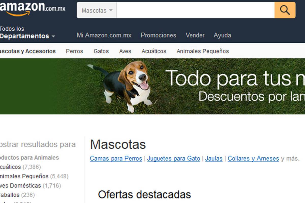 Amazon lanza en México un portal enfocado en mascotas
