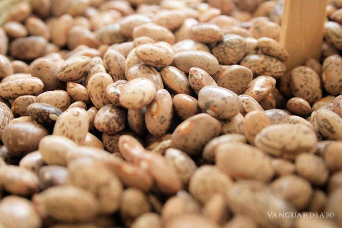 Universitaria participa en proyecto para el mejoramiento del frijol