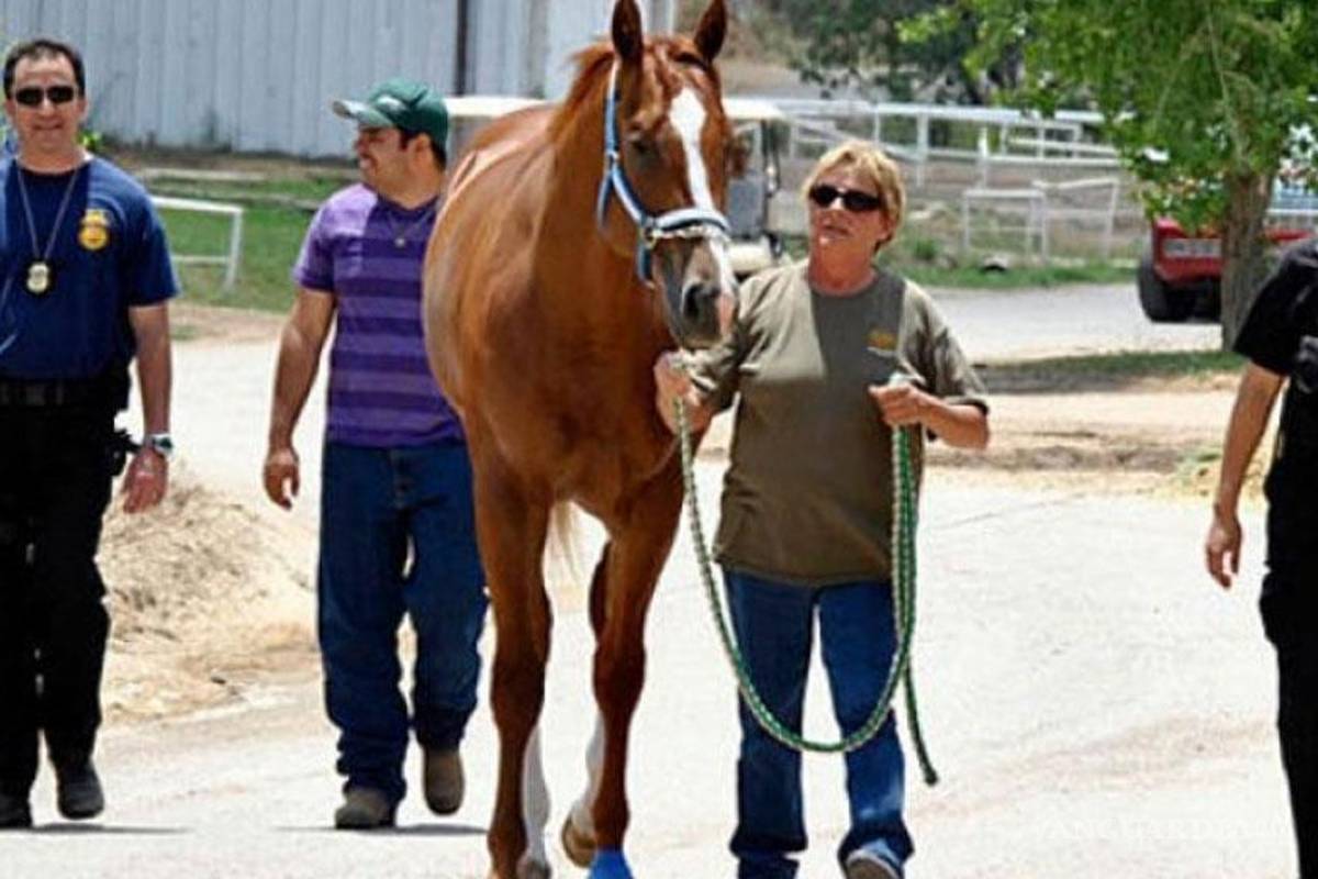 EU subasta últimos caballos de carreras confiscados a Zetas; recauda 3.1 mdd