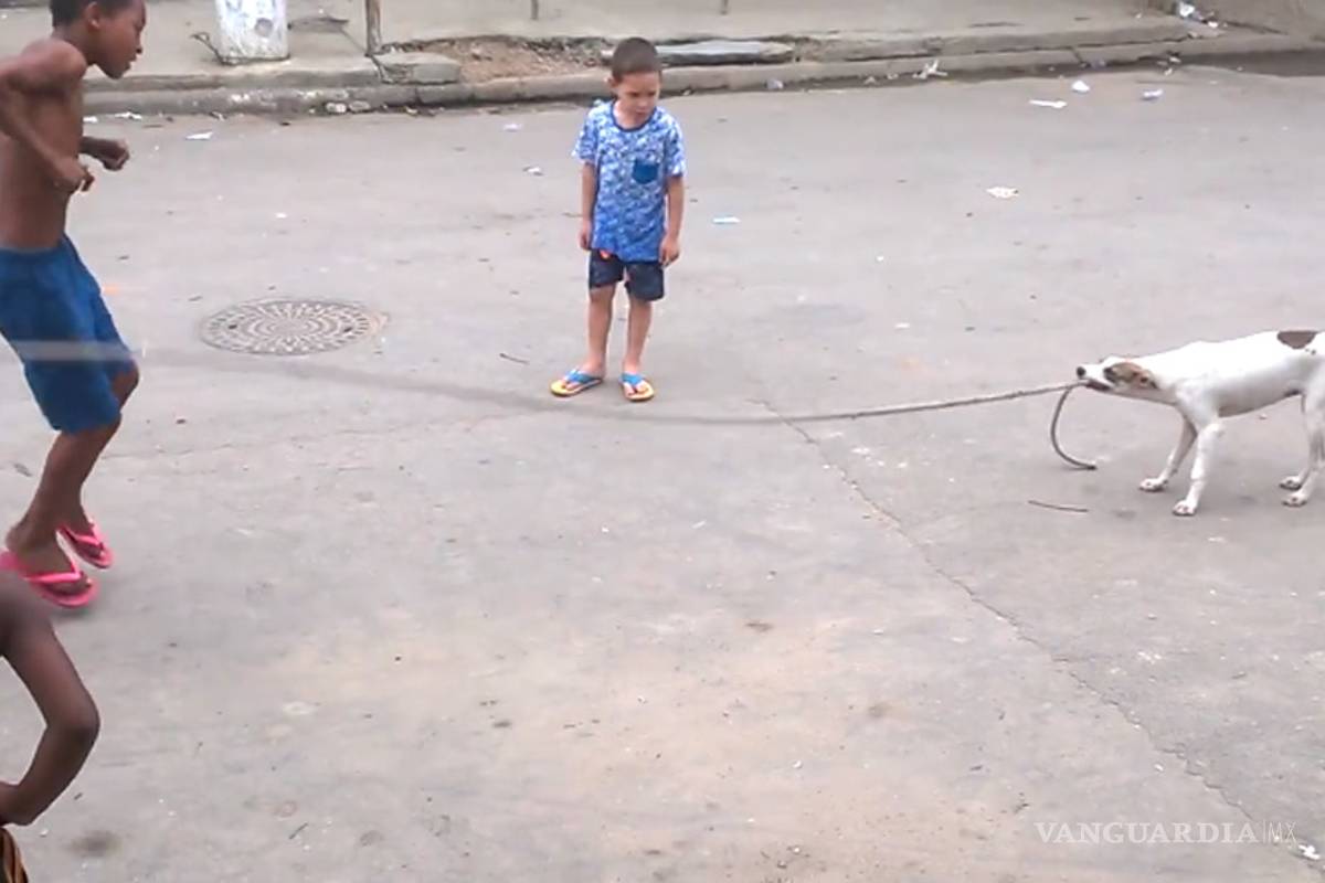 Perro juega a saltar la cuerda en una favela de Brasil (VIDEO)