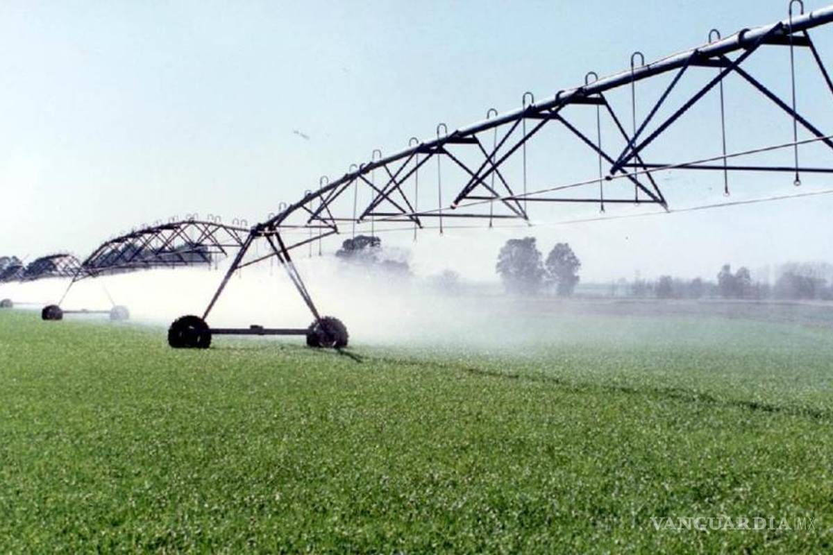 Sufre el medio rural de La Laguna por falta de agua