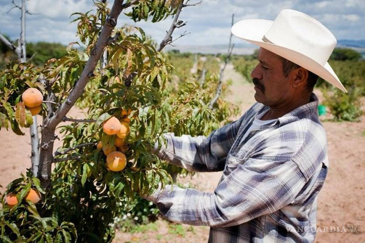 CFE alista embargos a 5 mil agricultores, por adeudos en Chihuahua