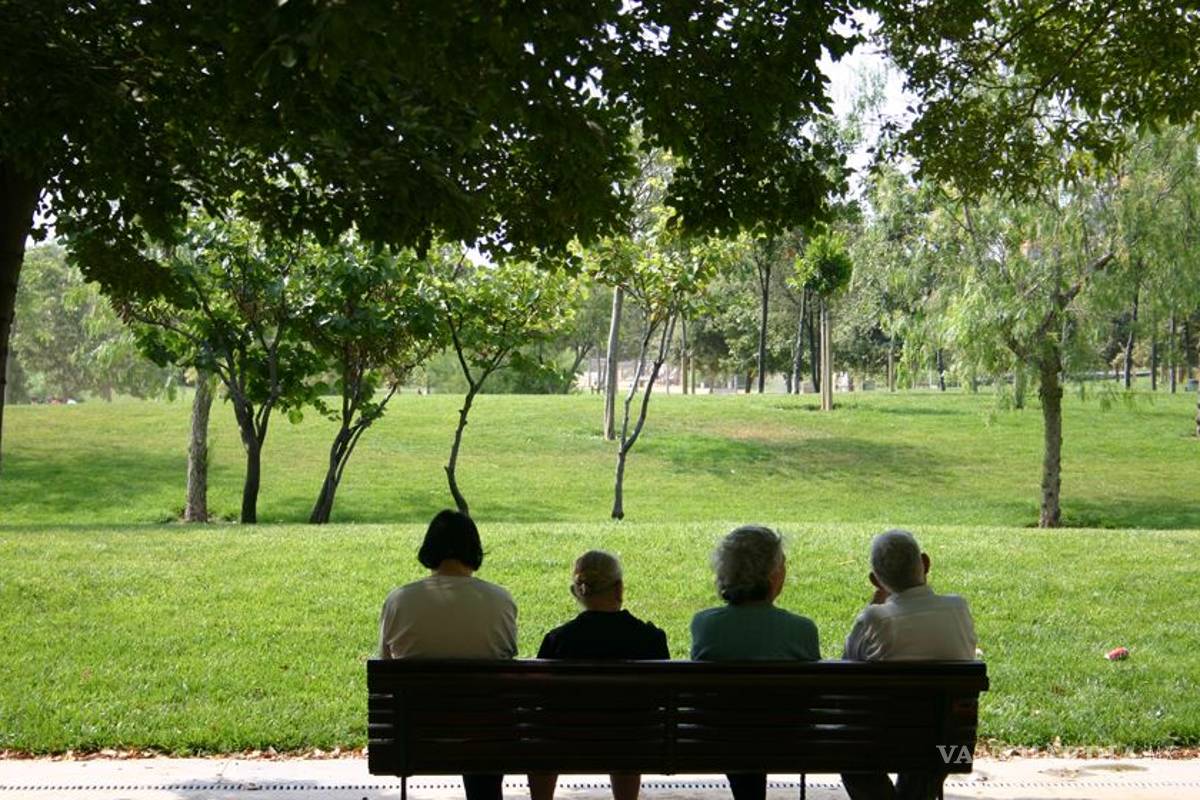 Cantidad de árboles por persona a nivel mundial