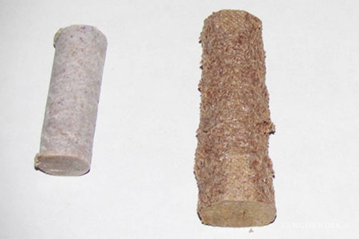 Científicos mexicanos combaten la tala, crean madera líquida