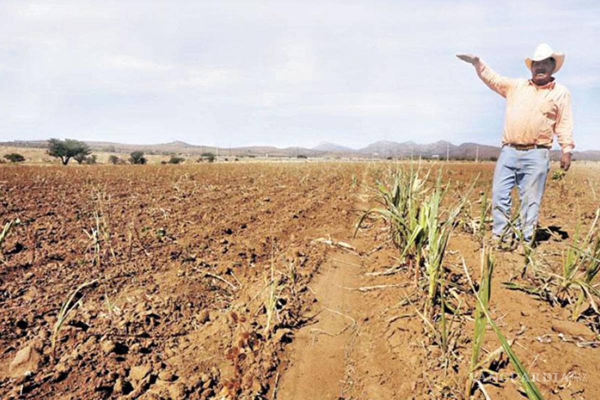 Senadores del PRI promoverán reforma en beneficio del campo