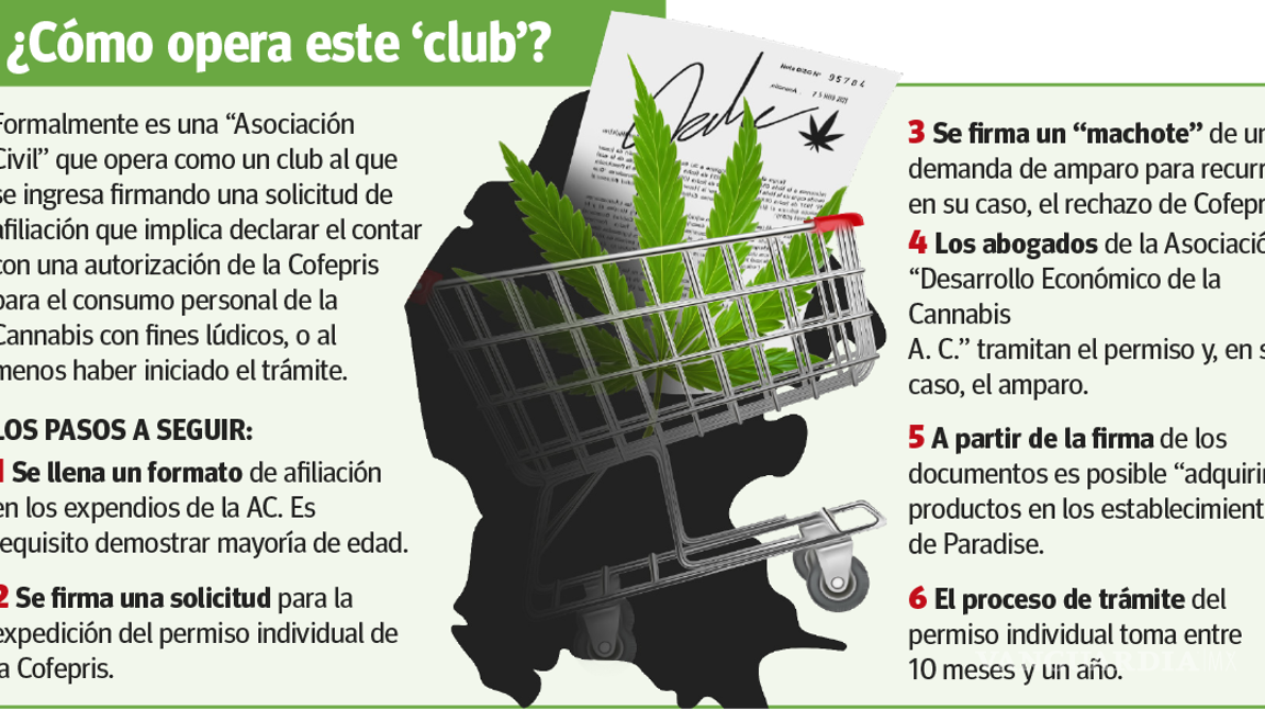 $!Saltillo: disfrazan con clubes ‘venta’ de mariguana en tiendas Paradise