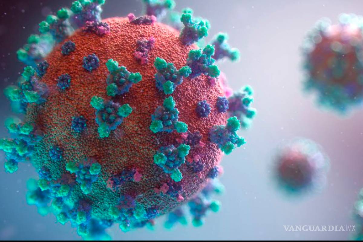 Hallan 'el talón de Aquiles' del coronavirus gracias a un anticuerpo clave en una infección de 2003