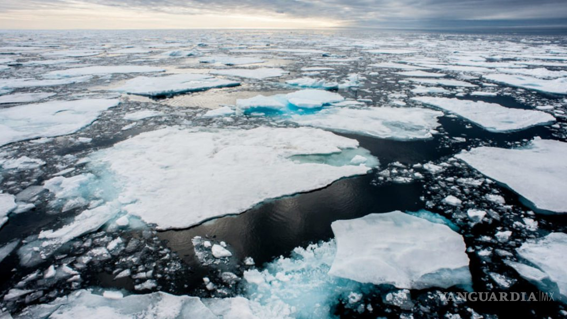 $!Los autores del estudio también advirtieron que los eventos de hielo marino bajo pueden volverse más frecuentes