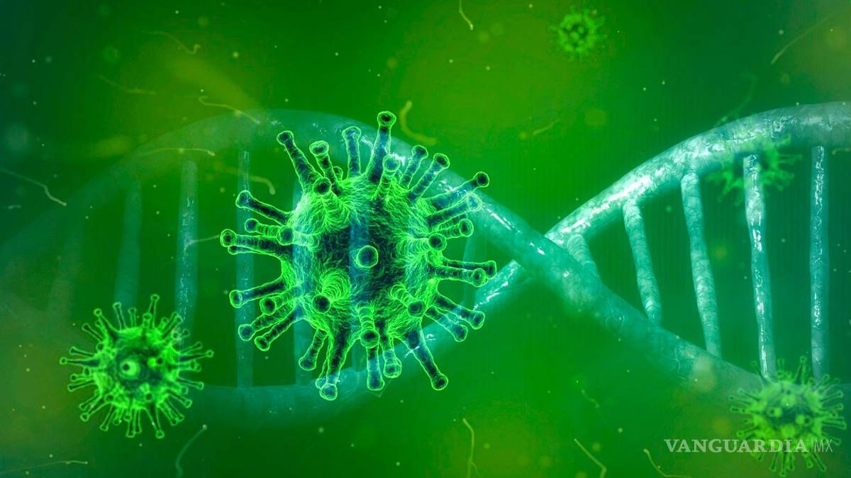 Así es como tus bacterias y microbios pueden salvarte de enfermedades como el COVID-19