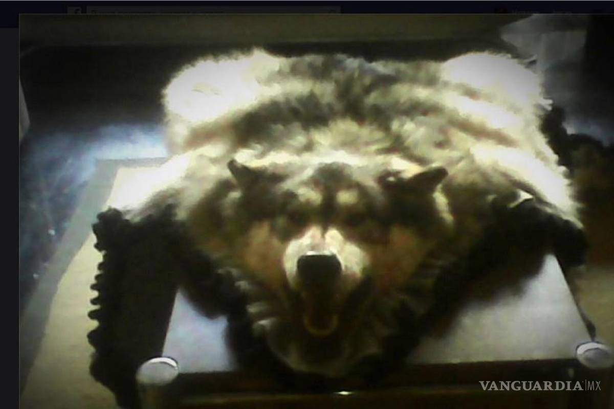 Regala Rector de la UAdeC piel de lobo de Alaska a universitarias