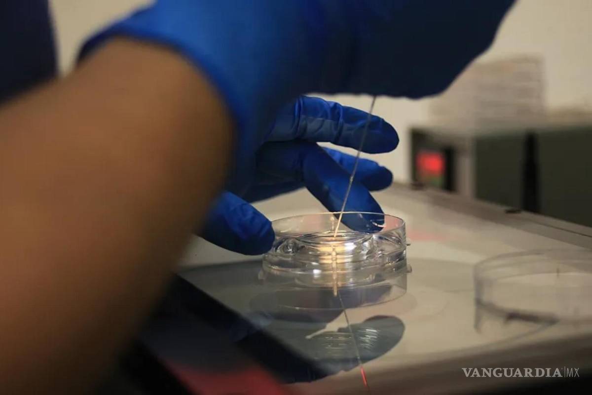 Un equipo de científicos encontró hasta ocho polímeros distintos en el semen humano