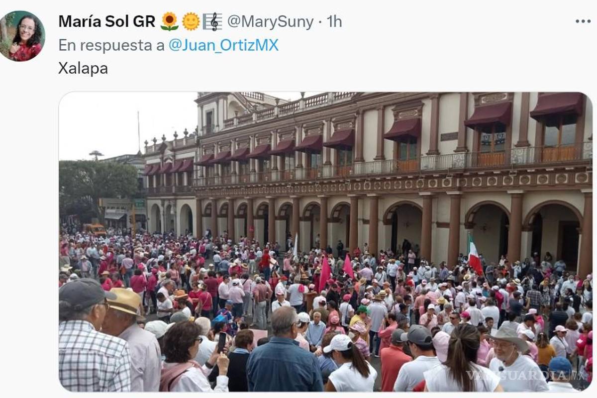 $!¿Cómo se vivió la marcha en defensa del INE en los estados?