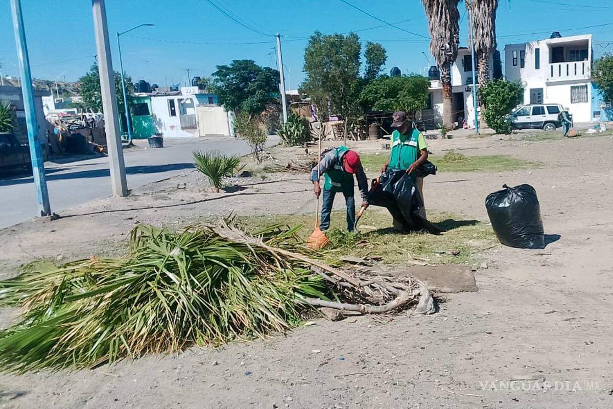 Limpieza que transforma: Gobierno de Ramos Arizpe refuerza mantenimiento urbano con apoyo de empleo temporal