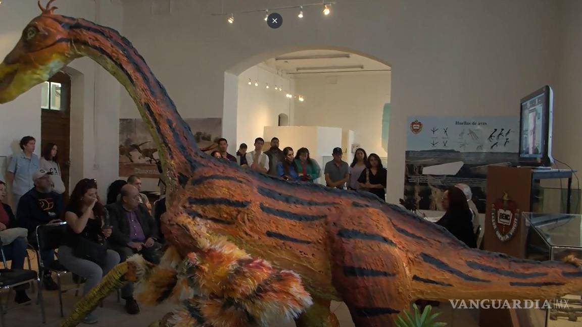 $!La nueva especie de dinosaurio medía 1.20 metros de altura y 2 metros de largo.