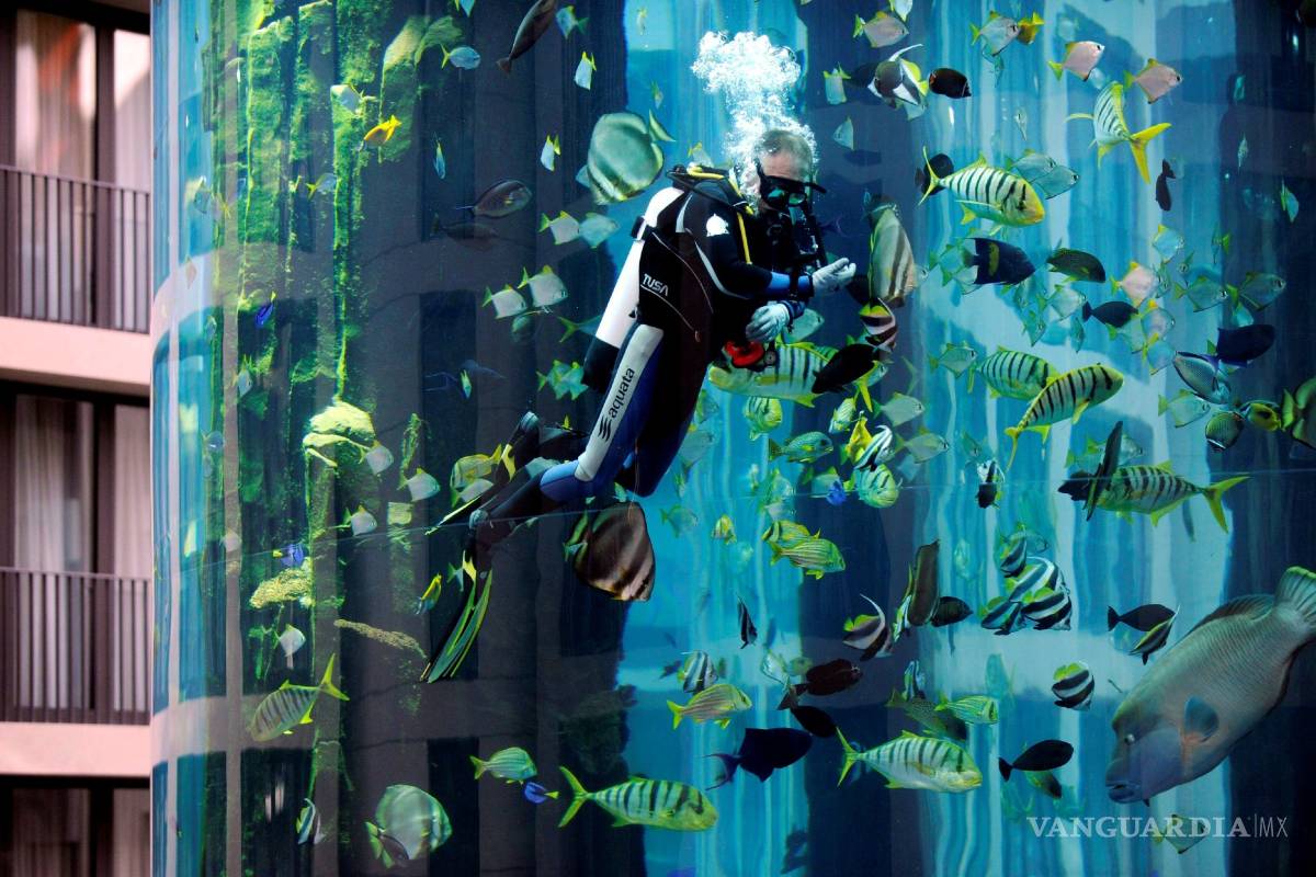 $!AquaDom, el acuario cilíndrico más grande del mundo