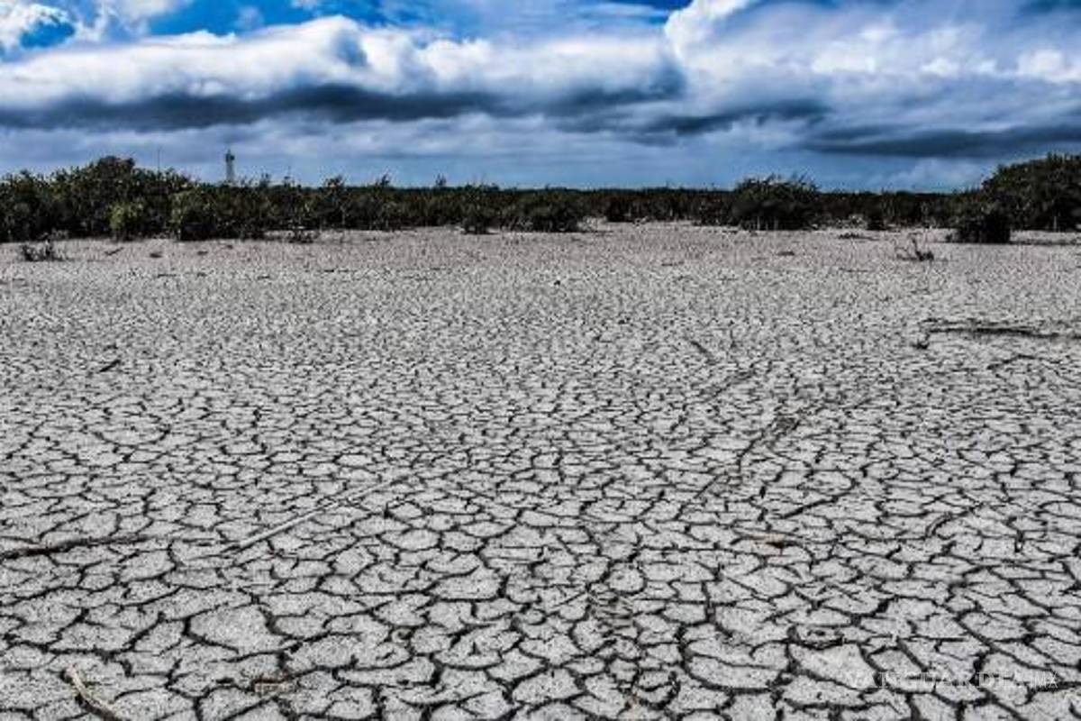 Ante sequía, temen pérdida del ganado; productores piden apoyo
