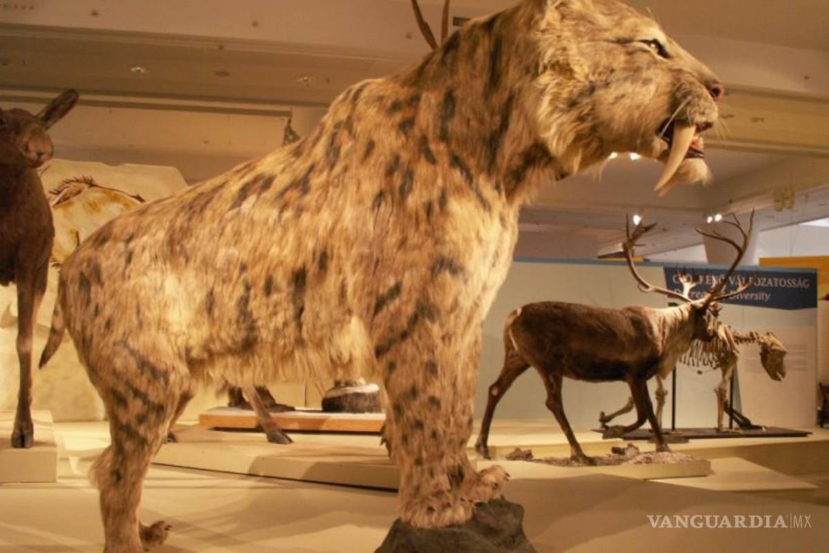 A través del ADN, la ciencia busca resucitar especies ya extinguidas