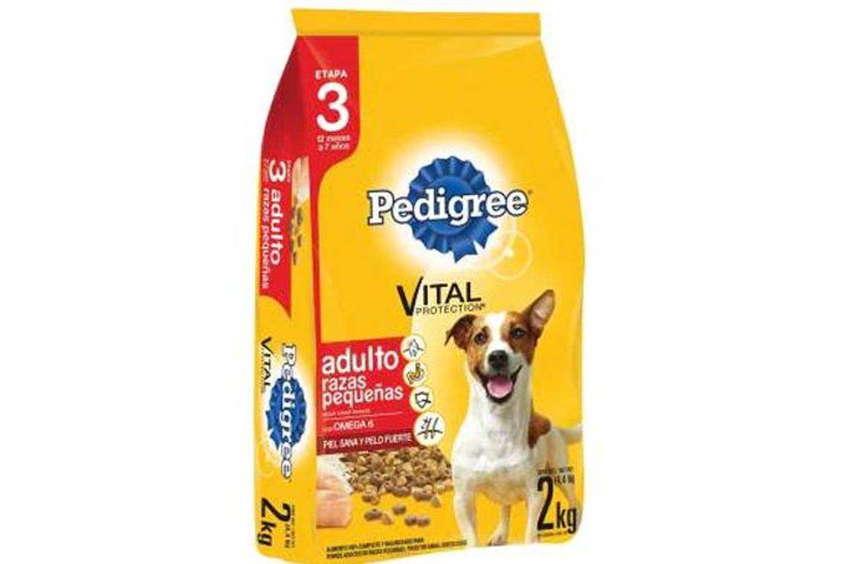 $!¿Pro Plan, Campeón o Dog Chow?... según Profeco, estas son las peores marcas de croquetas y las más dañinas para tu perro