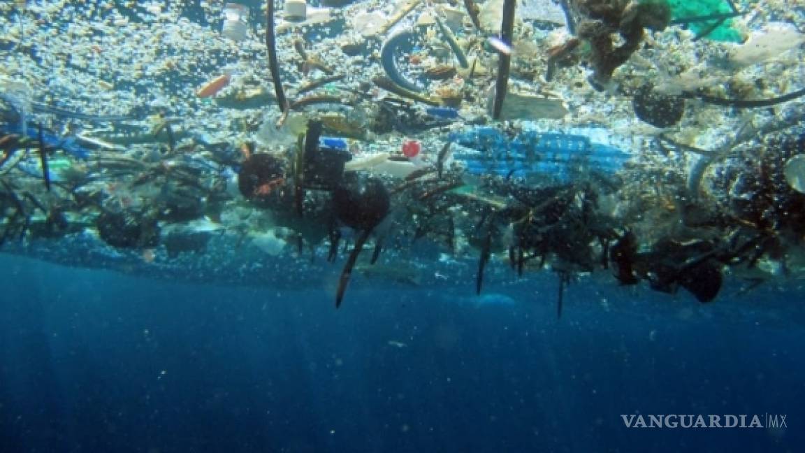 Para 2050 &quot;habrá más plástico que peces&quot;: Greenpeace