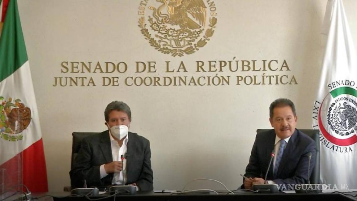 No aprobamos vía exprés la Ley Monreal por el bien de México: Morena