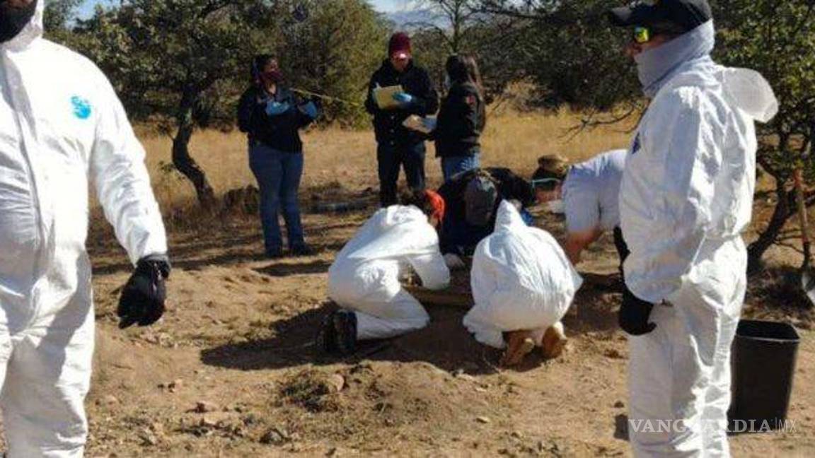 $!Encuentran más de 2 mil fragmentos óseos en el Rancho Dolores, en Chihuahua