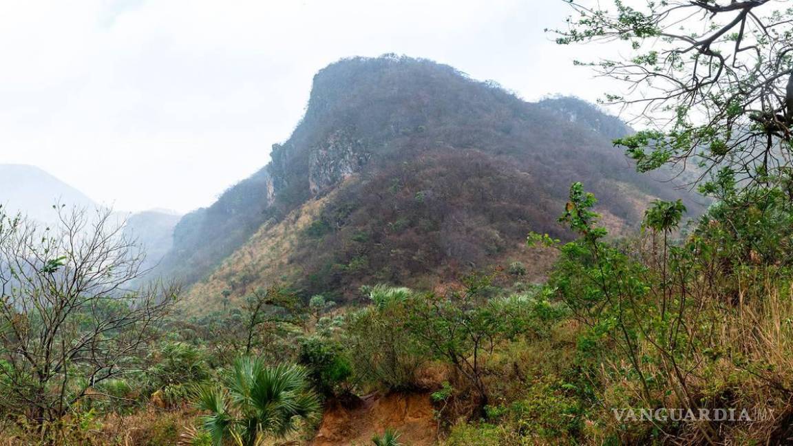 Chiapas debe regresar Los Chimalapas a Oaxaca, dicta la SCJN