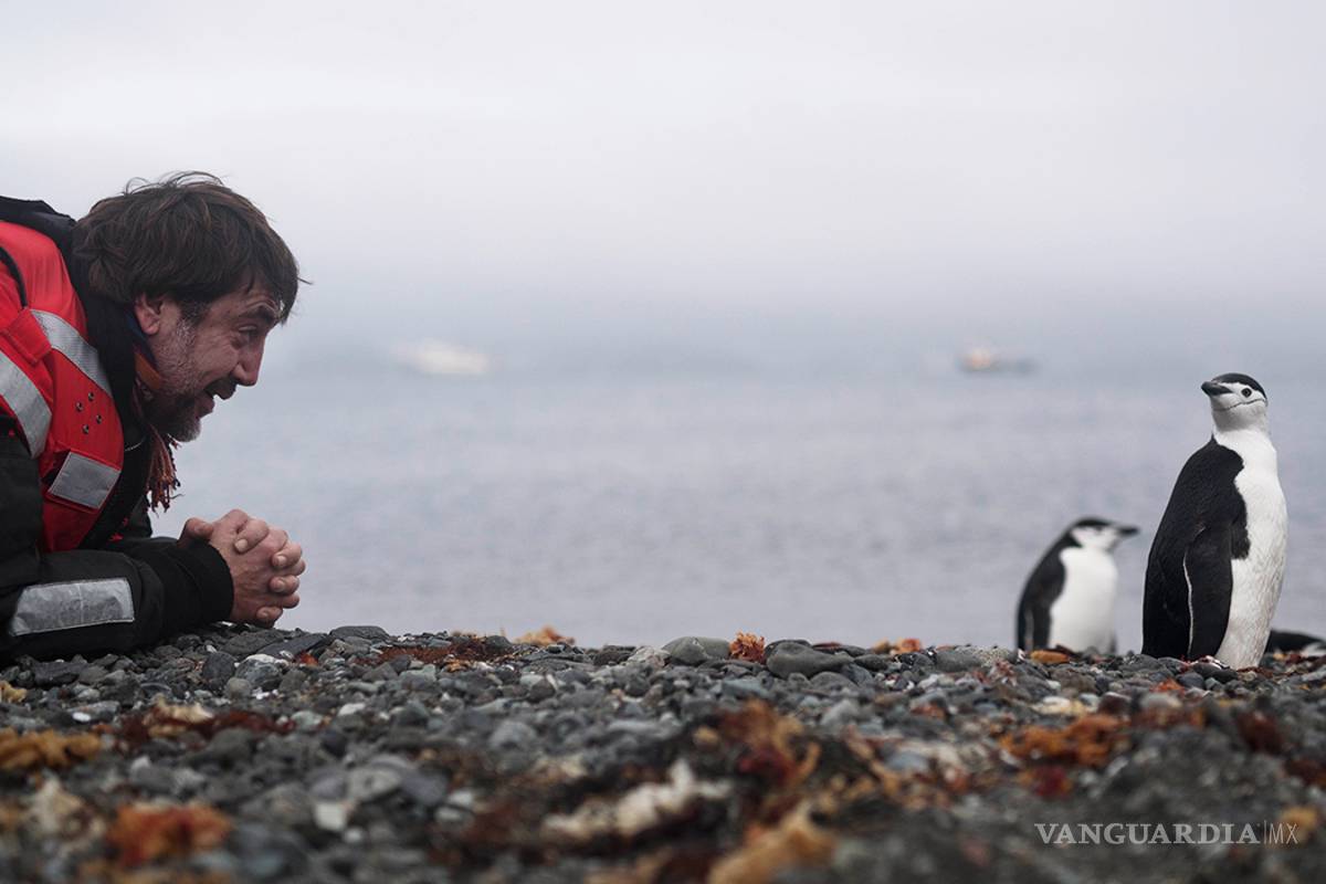 &quot;Sanctuary&quot;, el documental ecologista de los hermanos Javier y Carlos Bardem, llega a las plataformas el 10 de abril