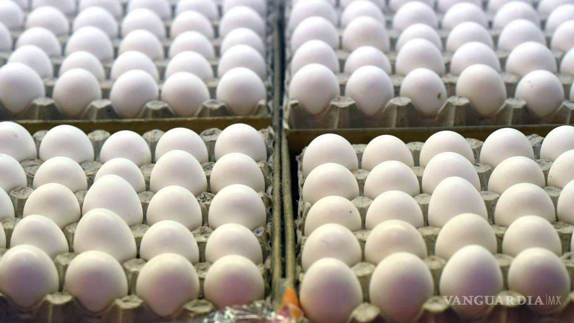 Anuncian fin del brote de salmonela vinculada a huevos en EU