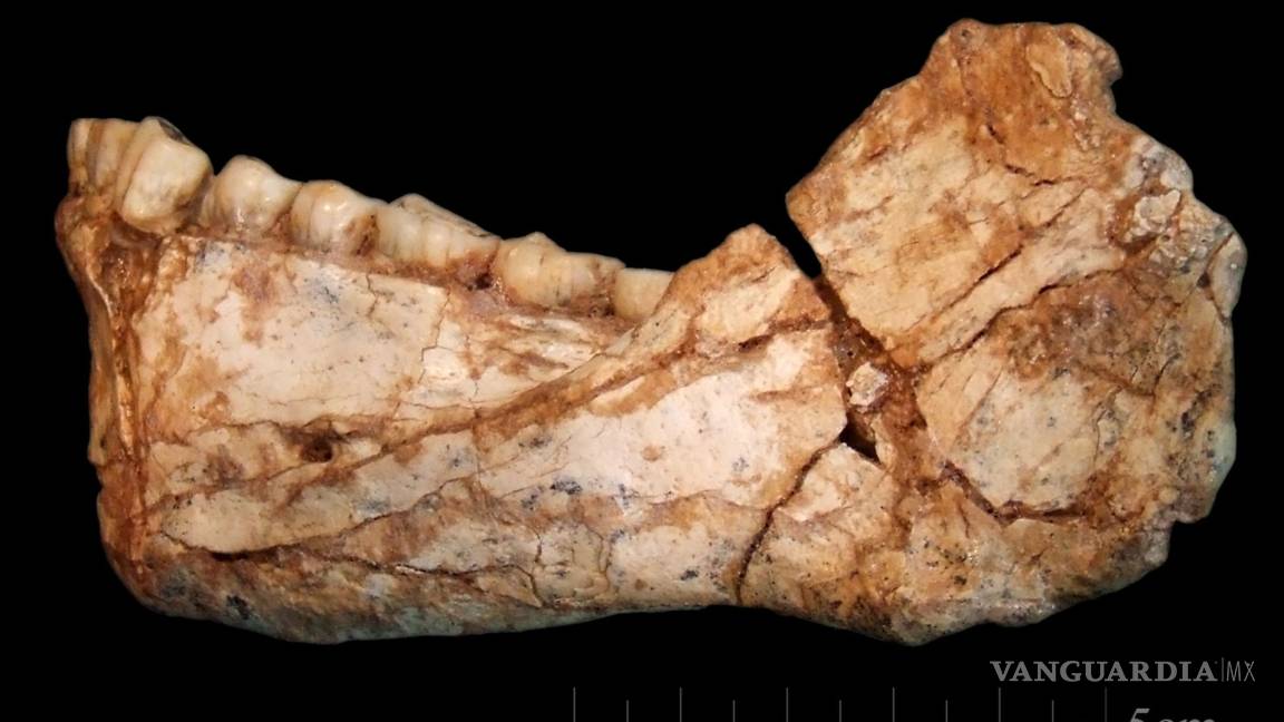Encuentran en Marruecos los restos de los primeros 'Homo sapiens'