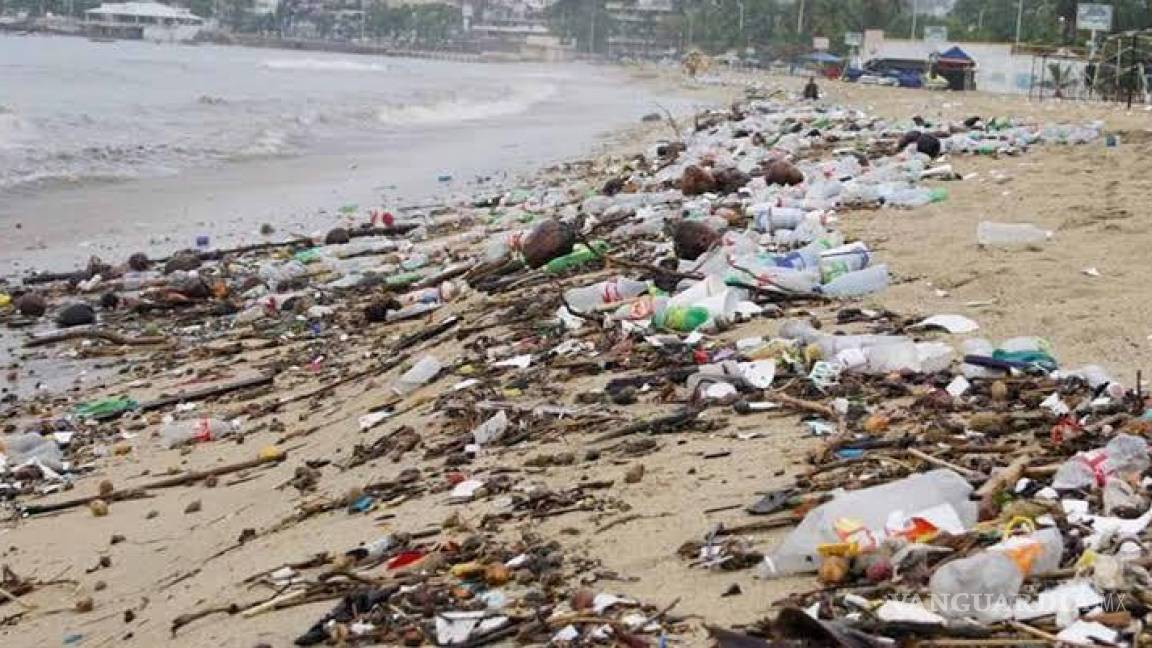 Acapulco, en crisis sanitaria por basura