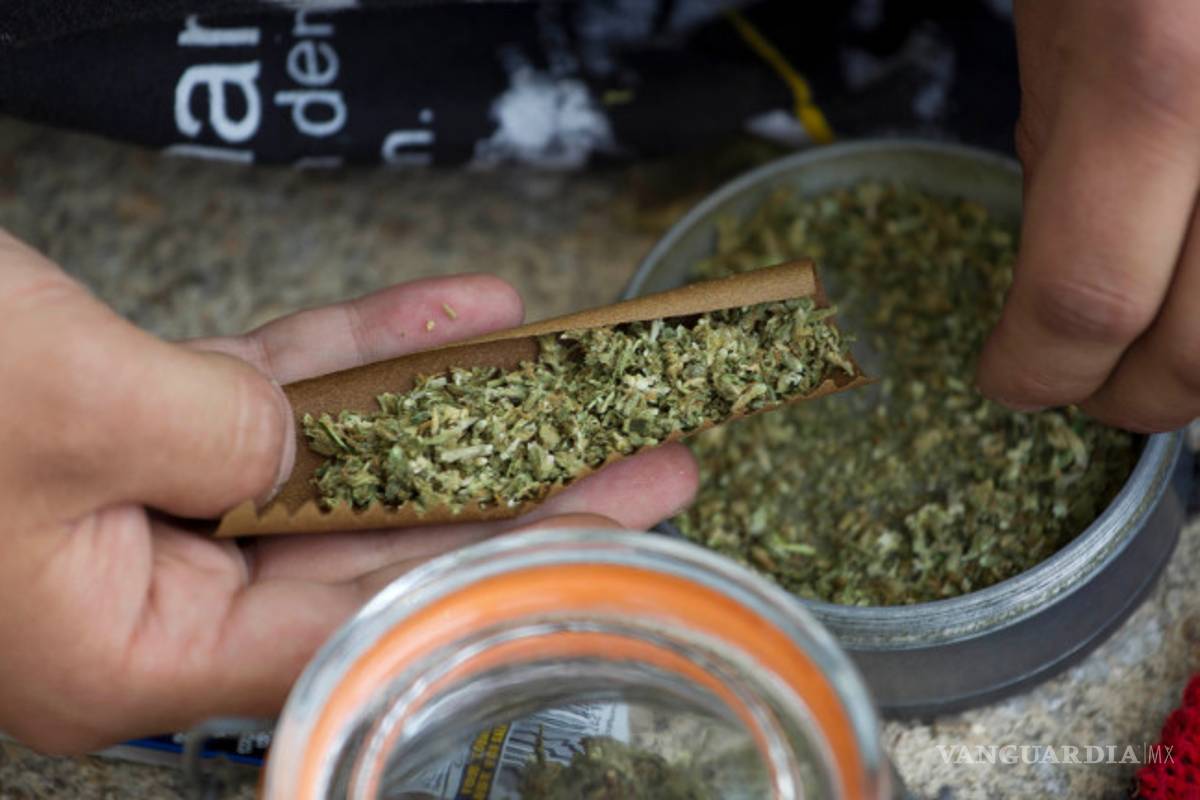 Las farmacias uruguayas, indecisas sobre sumarse o no a la venta de marihuana