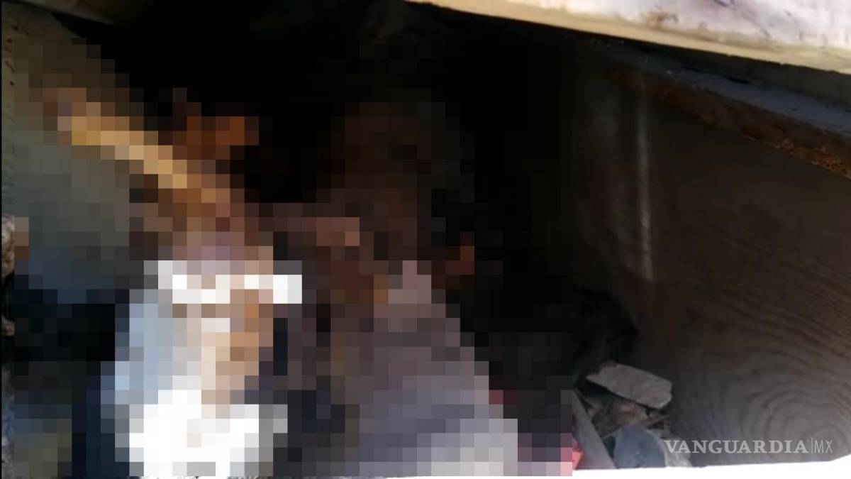 ¿La “jaló el muerto”?, mujer se lesiona al caer en tumba de panteón de Parras, Coahuila