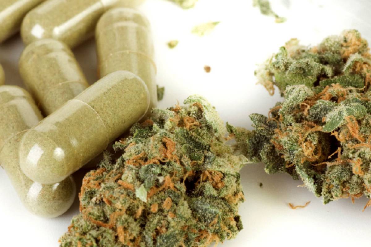 PRD insistirá en legislación sobre uso de la marihuana