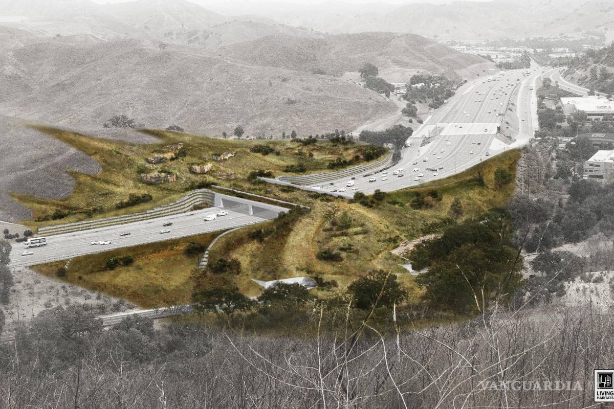 Construyen en California el puente para animales más grande del mundo