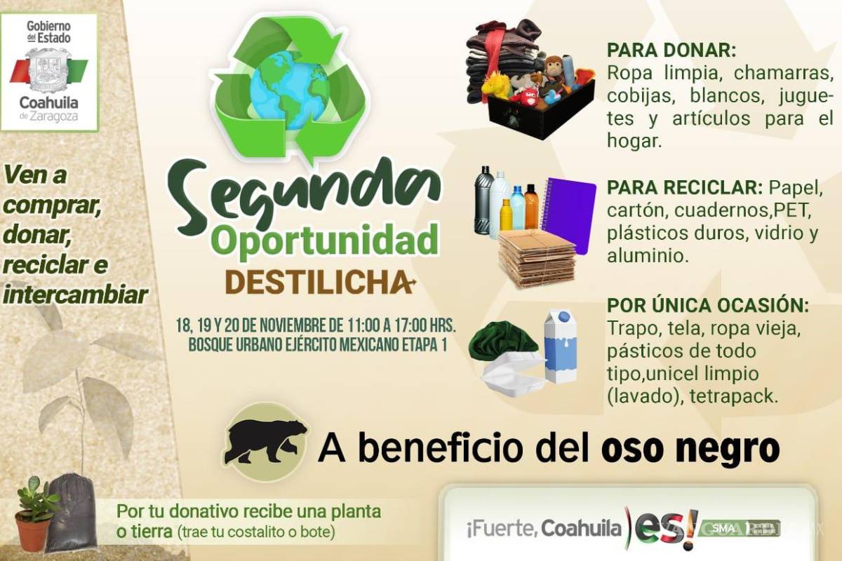 Suman 22 muertes de Oso Negro en Coahuila, ¡Ayúdalos sacando tus ‘tiliches’ de casa!