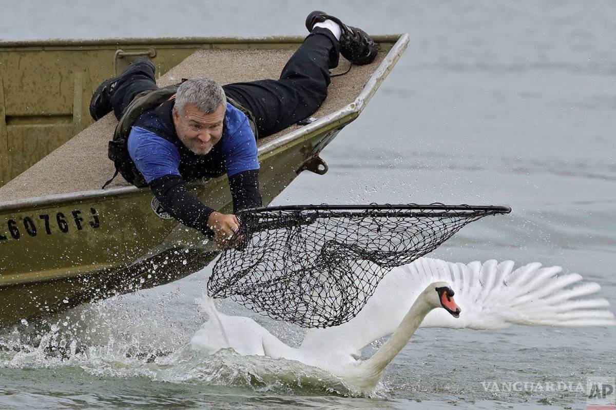 Tu jugo del día: ¿Estás listo para el Buen Fin?