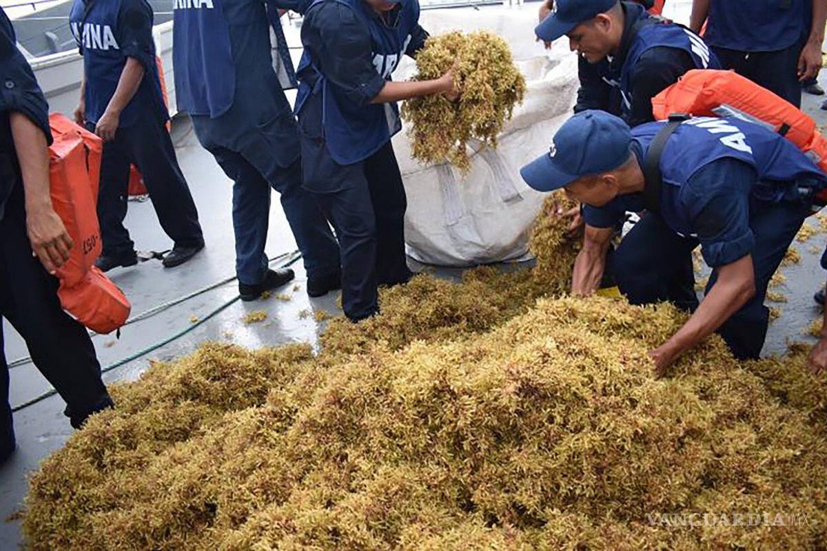 Marina recolecta 15 toneladas de sargazo en Quintana Roo