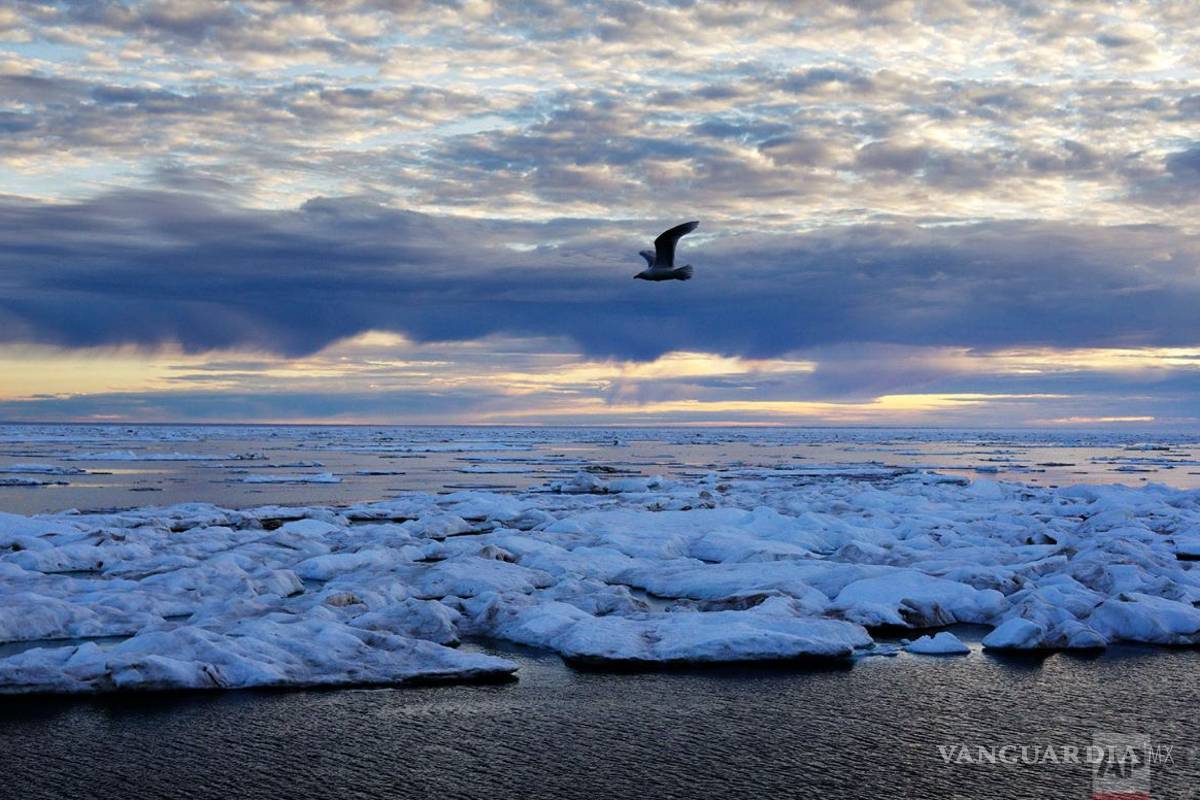 Tu jugo del día: ¿El coronavirus llegó a México?
