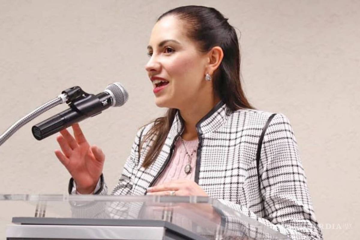 Diputada acusó a activistas de “obstaculizar su labor legislativa”, juez retira cargos