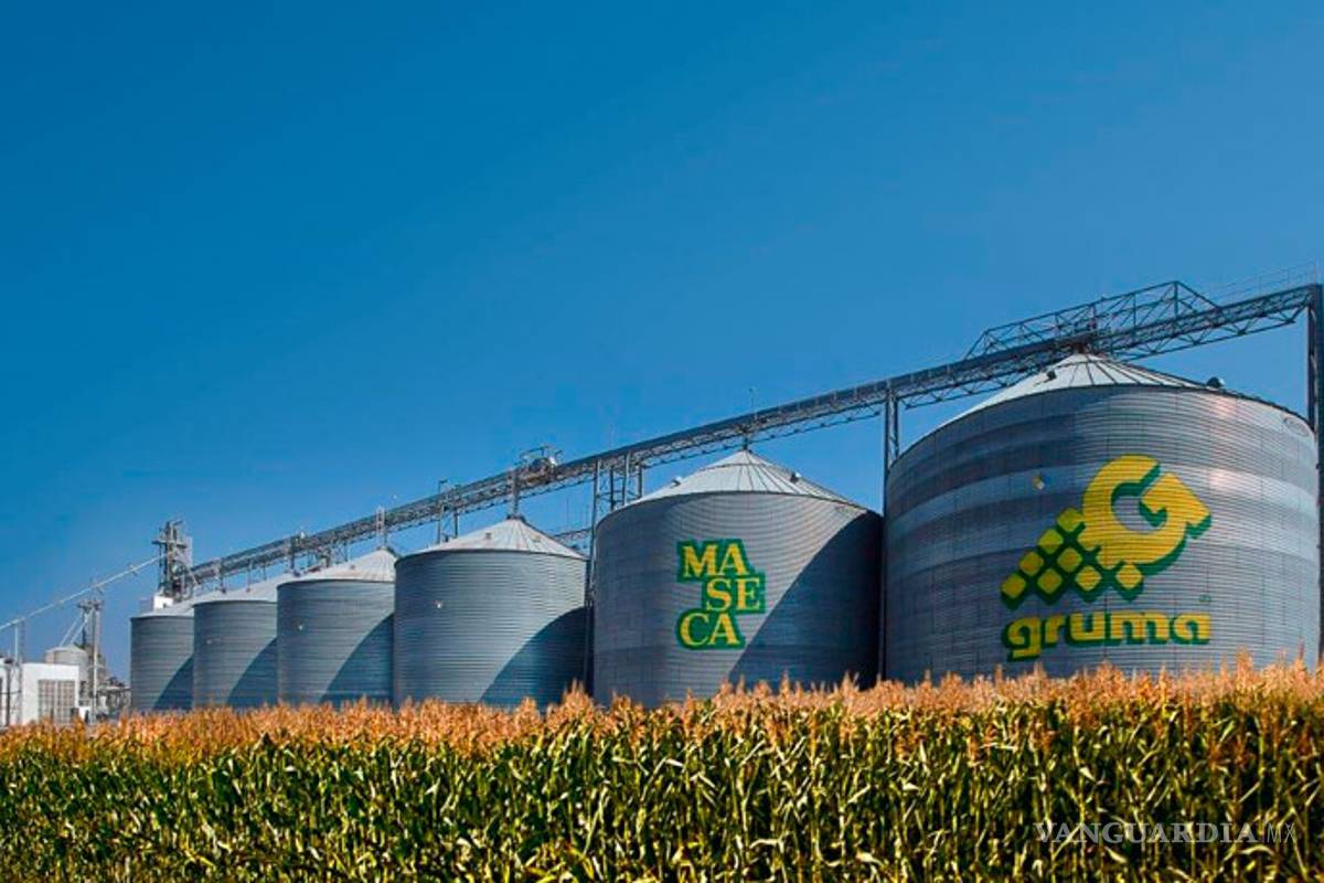 Gruma invertirá 350 mdp en 2016