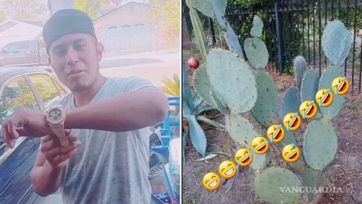 ‘Parecen marranos’... TikToker guatemalteco insulta a mexicanos por comer nopales (video)