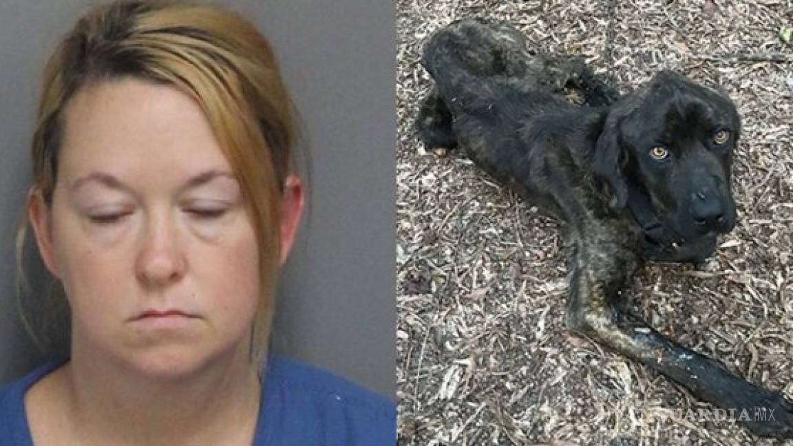Mujer intenta matar de hambre al perro de su ex novio; es detenida por crueldad animal
