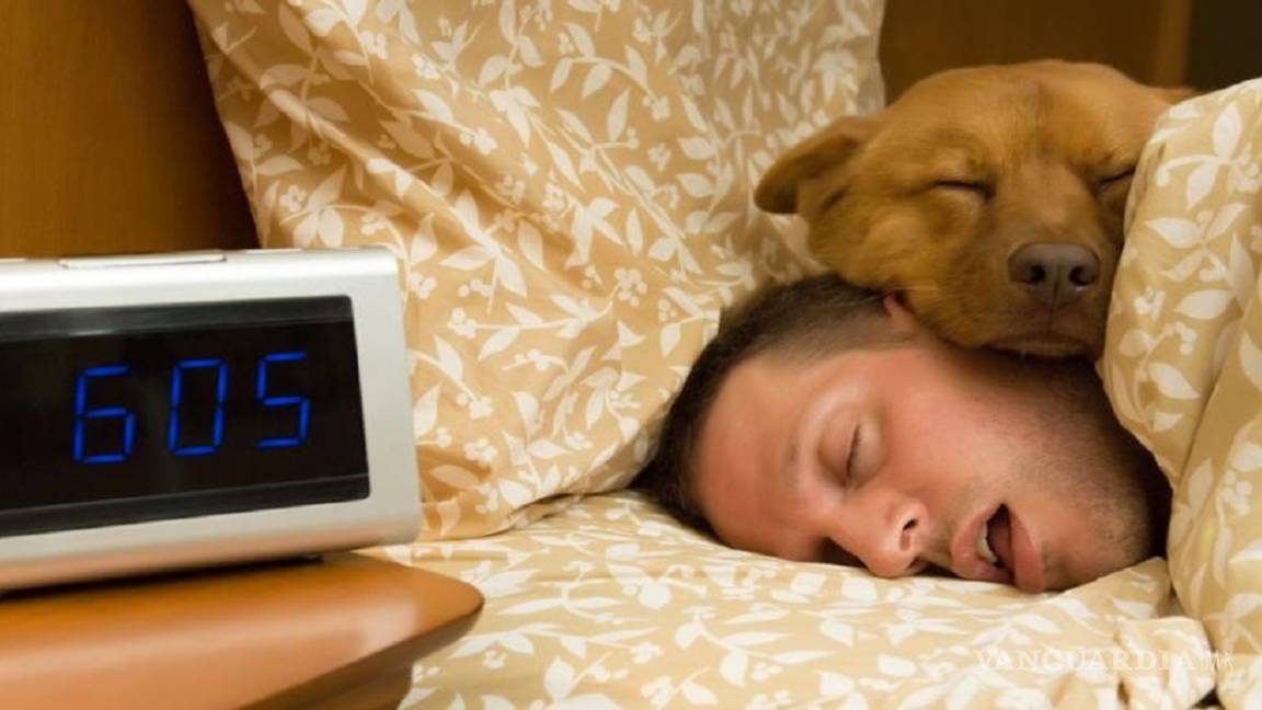 ¿Es bueno dormir con tu perro?, la ciencia tiene la respuesta